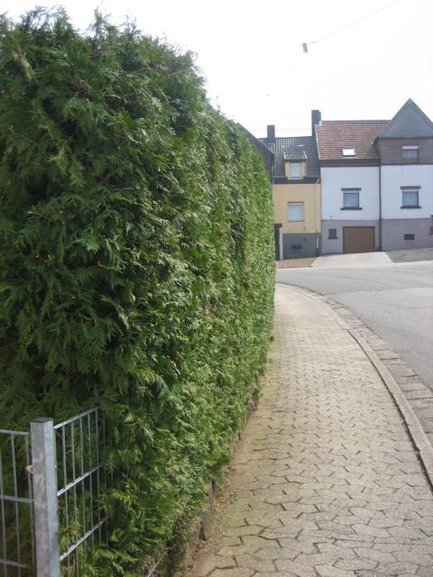 K640_IMG_2108.JPG
