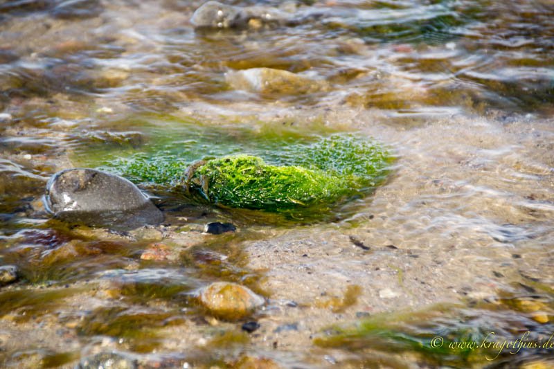 Wasserblick