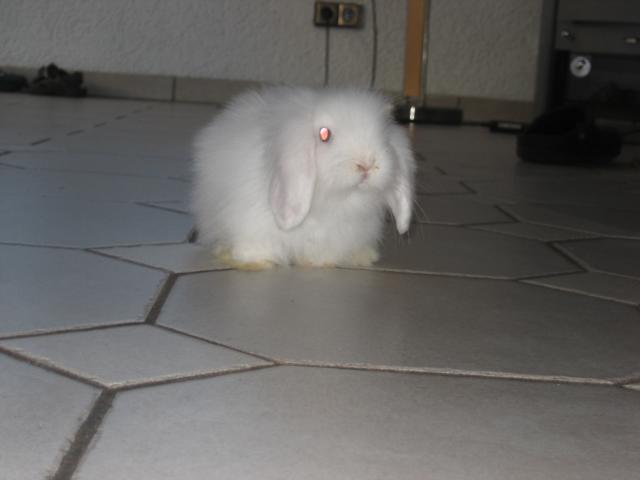 K640_IMG_3493.JPG