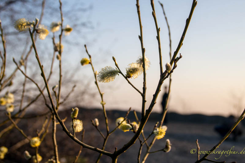 Frühling?