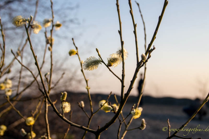 Frühling?