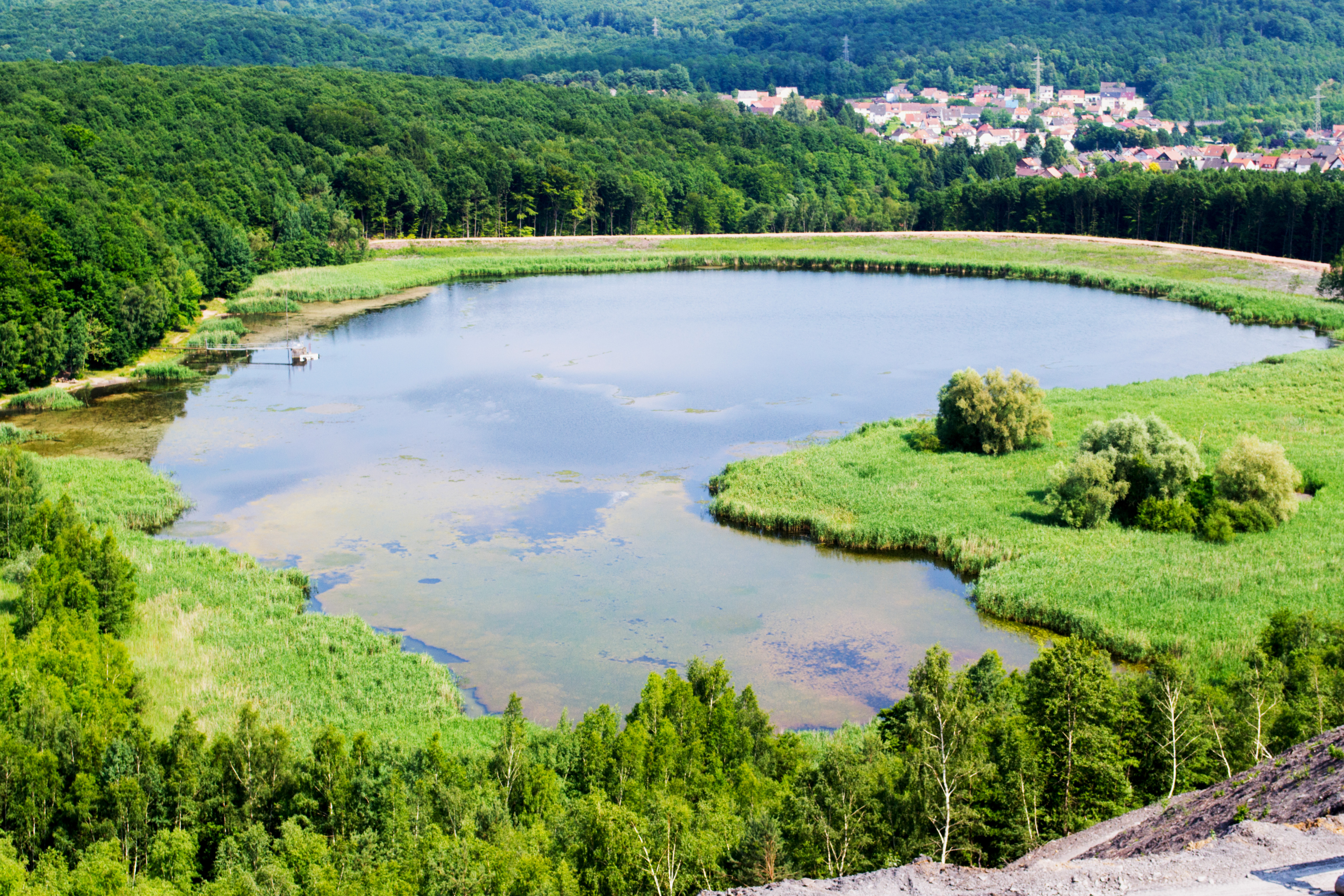 Loeschweiher