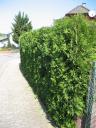 Hecke 2